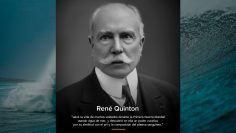 rene-quinton-portada