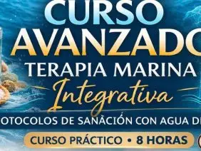 WhatsApp Image 2026-04-06 at 3.47.19 PM